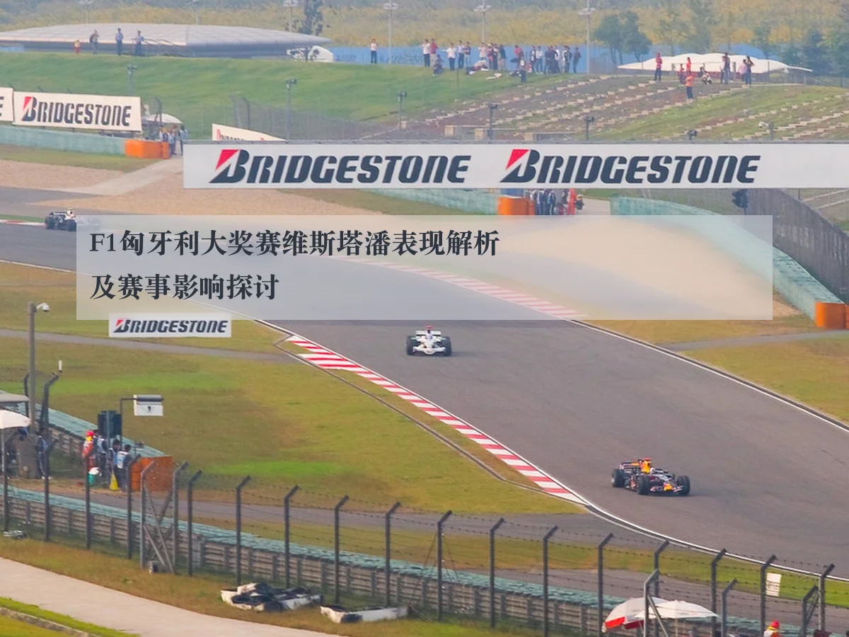 F1匈牙利大奖赛维斯塔潘表现解析及赛事影响探讨